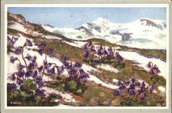 Kuenstlerkarte A. Belli Nr. 20 Dattelblume