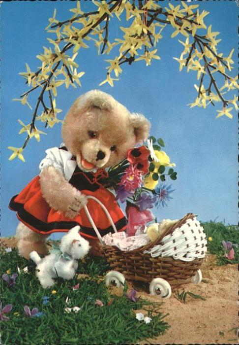 Teddy Teddybaer Teddy-bear Kinderwagen Hund Blumen