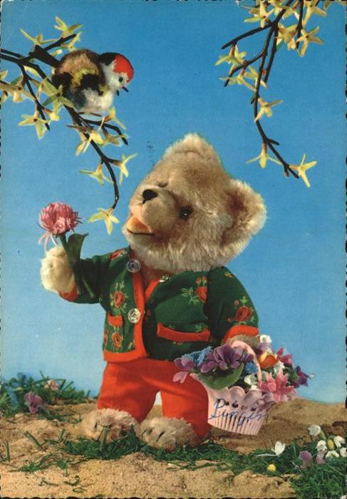 Teddy Teddybaer Teddy-bear Vogel Blumen