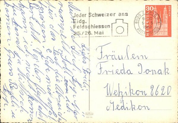 Teddy Teddybaer Teddy-bear Vogel Blumen – Bild 2