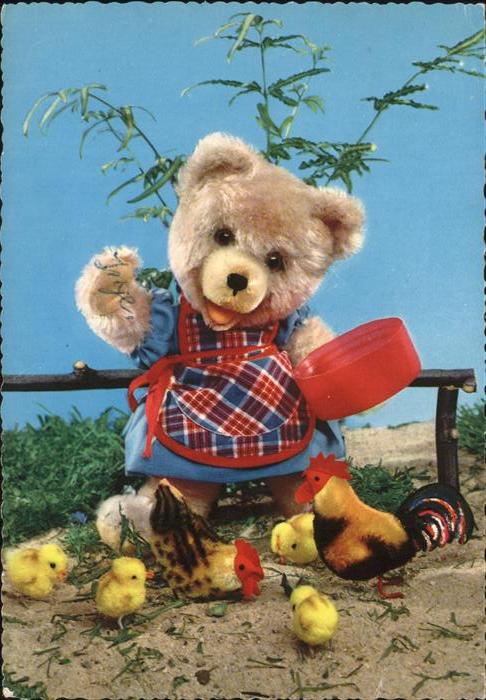 Teddy Teddybaer Teddy-bear Huhn Hahn Küken