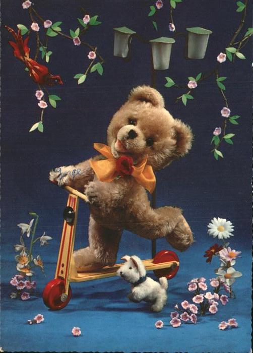 Teddy Teddybaer Teddy-bear Roller Hund Vogel Blumen