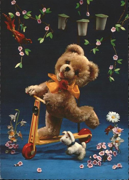 Teddy Teddybaer Teddy-bear Roller Hund Vogel Blumen