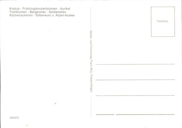Blumen Krokus Aurikel Silberwurz Küchenschelle – Bild 2