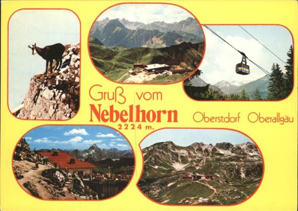 Gemse Seilbahn Nebelhorn Oberstdorf
