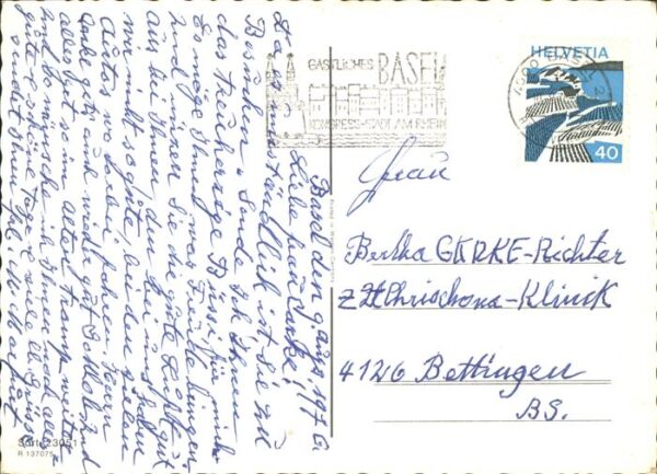 Katzen – Bild 2