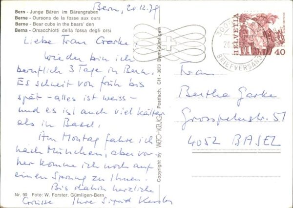 Baeren Bärengraben Bern – Bild 2