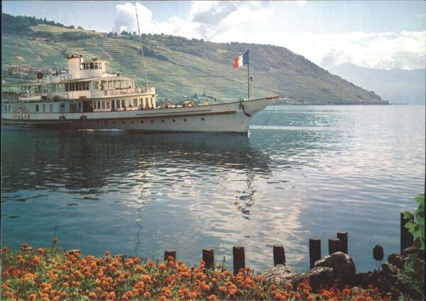 Dampfer Seitenrad Italie Lac Leman