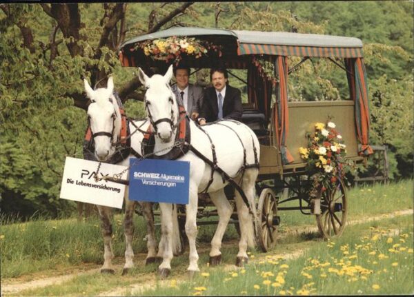 Pferdekutschen Schweiz-Versicherungen