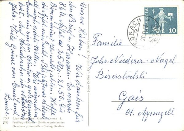 Blumen Frühlings-Enzian – Bild 2