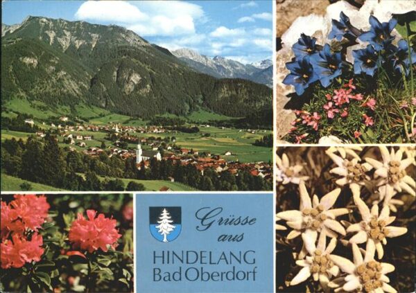 Blumen Edelweiss Enzian Hindelang