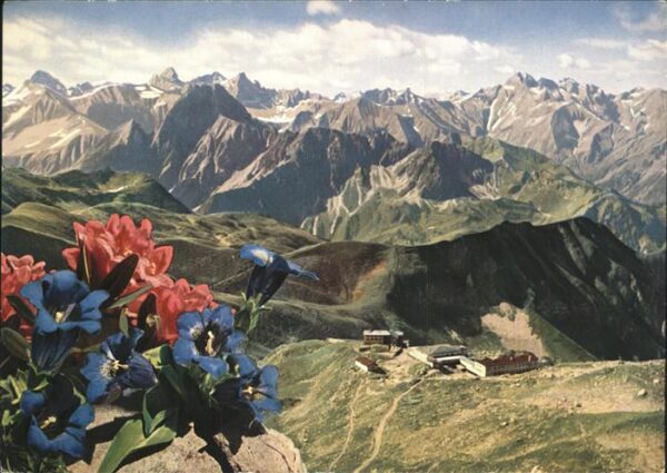 Blumen Enzian Nebelhorn Oberstdorf