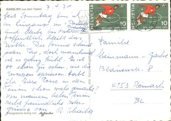 Blumen Kamelien Tessin – Bild 2