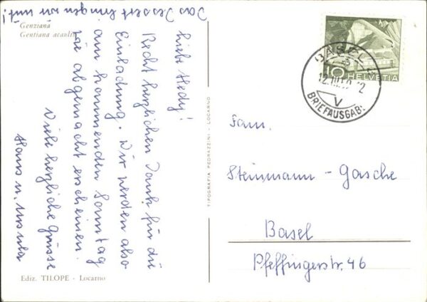 Blumen Enzian – Bild 2