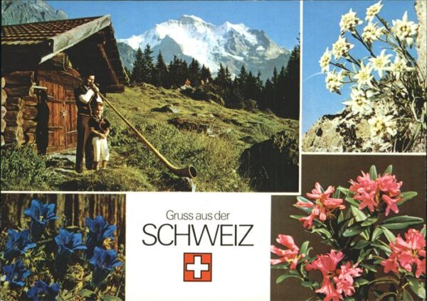 Alphorn Alpenblumen Edelweiss Enzian