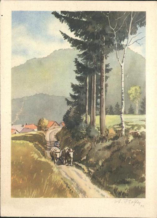 Kuenstlerkarte A. Höfer Fichtelgebirge Kühe