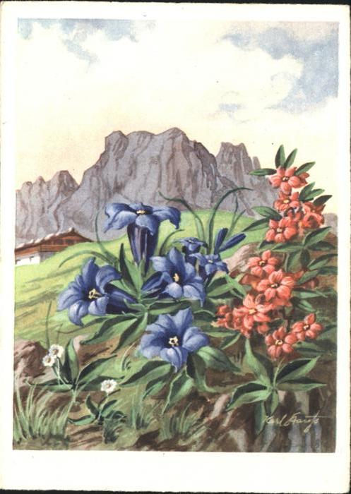Blumen Korn-Künstlerkarte Nr. 523