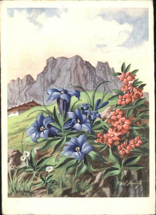 Blumen Ezian Korn-Künstlerkarte Nr. 523