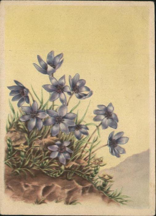 Blumen