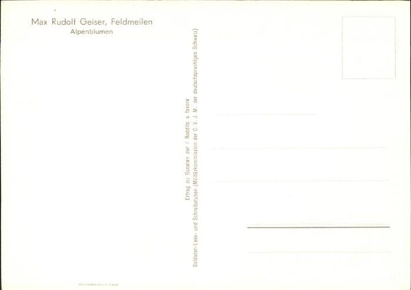 Kuenstlerkarte Max Rudolf Geiser Alpenblumen – Bild 2