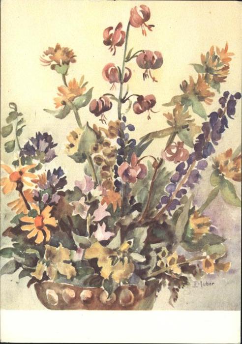 Kuenstlerkarte E. Huber Alpenblumen