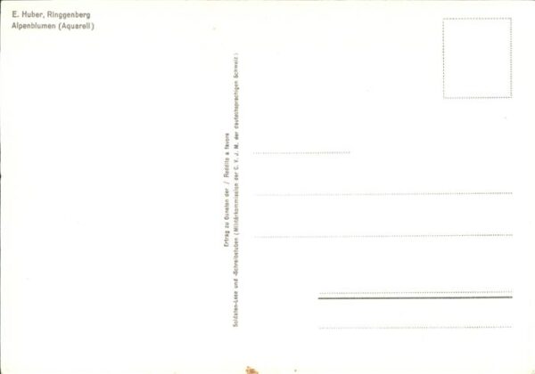 Kuenstlerkarte E. Huber Alpenblumen – Bild 2
