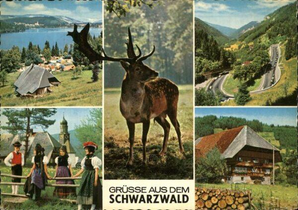 Schwarzwald mit Schwarzwaldhaus u.Trachten