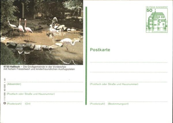 Hassloch Pfalz Im Freizeitpark mit Flamingos