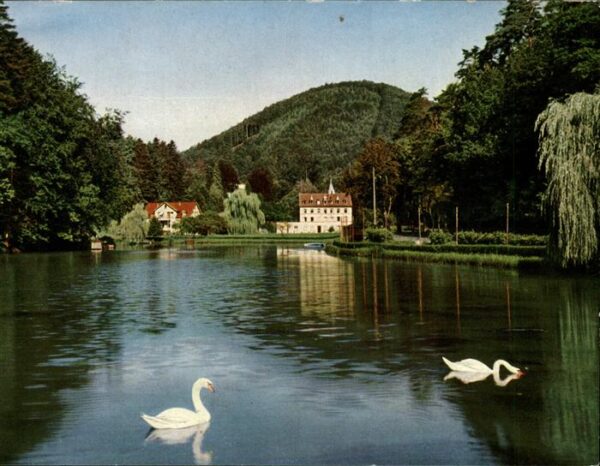 Bad Bergzabern Schwanenweiher