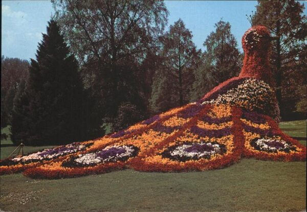 Insel Mainau Der Blumenpfau