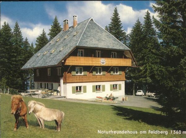 Feldberg Schwarzwald Naturfreundehaus mit Ponys