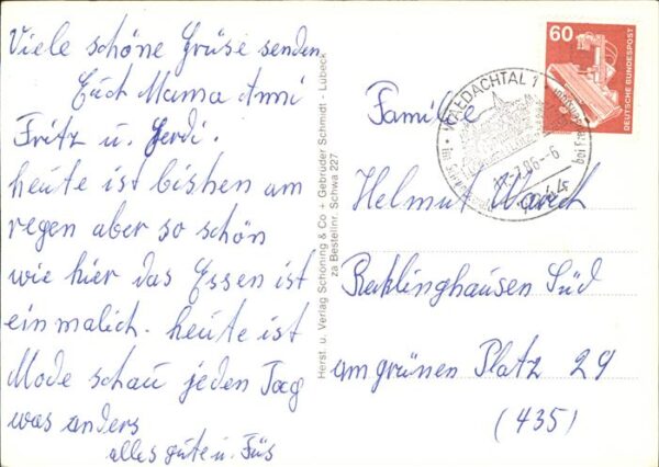 Schwarzwald mit Trachtenmädchen – Bild 2