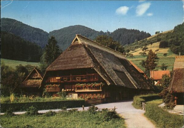 Schwarzwald Typ.Schwarzwaldhaus