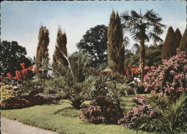 Insel Mainau Partie im Schloßpark