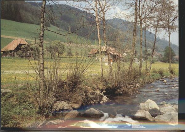 Schwarzwald Partie im Schwarzwald mit typ.Schwarzwa