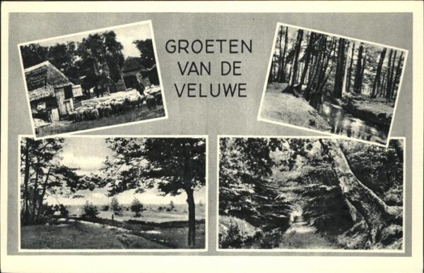 Niederlande Groeten van de Veluwe