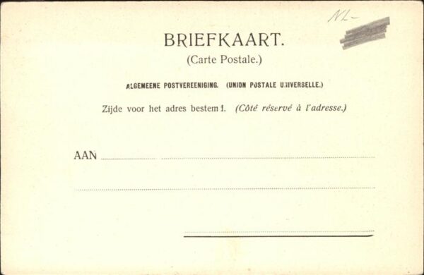 Niederlande Blumenfelder – Bild 2