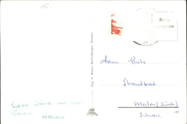 Ermelo Jn de Ermelose bossen leeft de natur – Bild 2