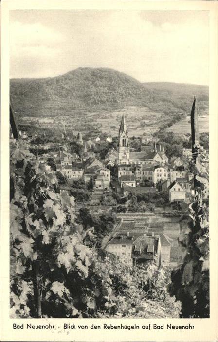 Bad Neuenahr-Ahrweiler Blick von Rebenhügeln