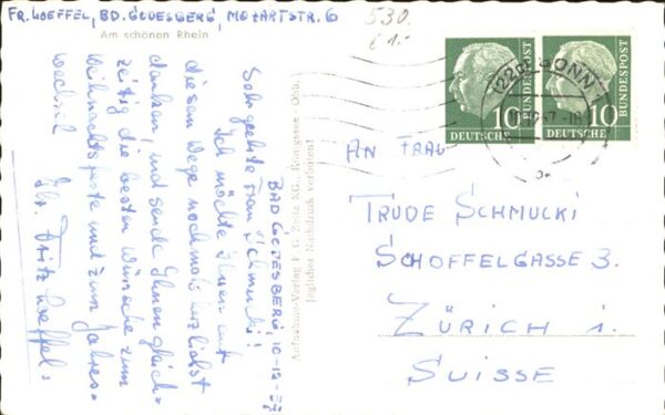Bad Godesberg Fliegeraufnahme – Bild 2