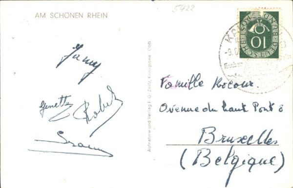 Loreley Lorelei Rheinpanorama mit Rheindampfer – Bild 2