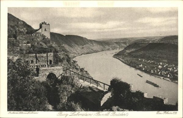 Kamp-Bornhofen Rheinpanorama mit Burg Liebenstein