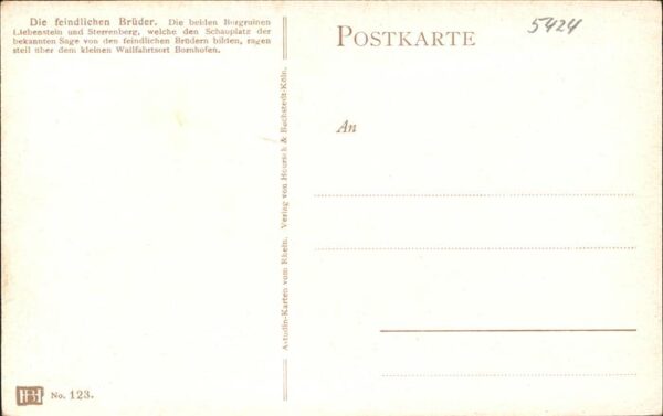 Kamp-Bornhofen Rheinpanorama mit Feindliche Brüder Bur – Bild 2