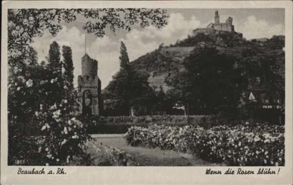 Braubach Rhein Panorama