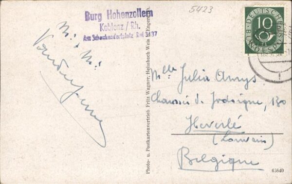 Braubach Rhein Panorama – Bild 2