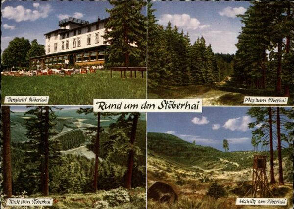 Walkenried Berghotel Stöberhai Terrasse Hochsitz P