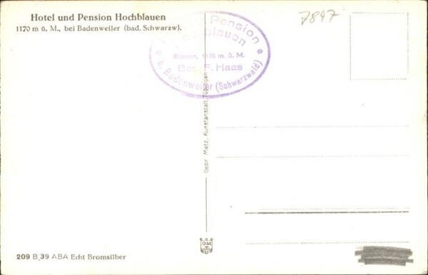 Hochblauen Hotel Pension Schweizer Ostalpen – Bild 2