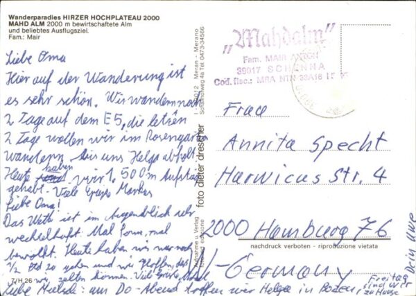 Mahd Fuerstenzell Alm Pferde – Bild 2