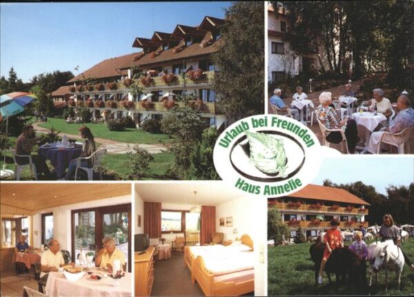 Bad Holzhausen Luebbecke Haus Annelie Pension Wiehengebirge Pfer