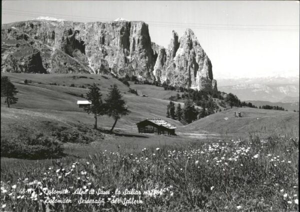 Dolomiti Wiese Hütte